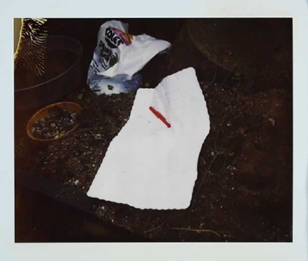 Difunden FOTOS inéditas de Kurt Cobain muerto Diario Cambio Difunden FOTOS inéditas de Kurt Cobain muerto Diario Cambio